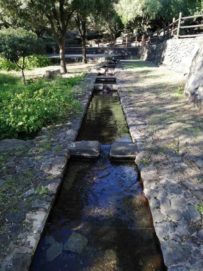 Sa Banita Affittacamere Bauladu 外观 照片